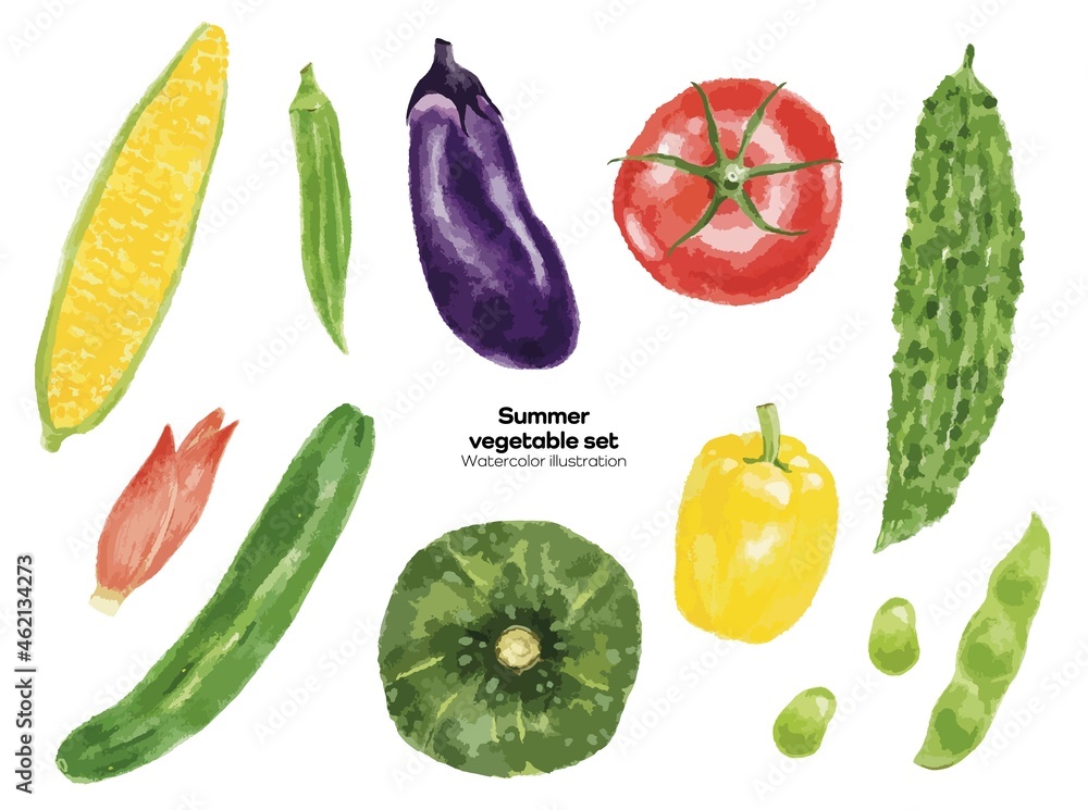 水彩風イラスト夏野菜セット Stock Vector Adobe Stock