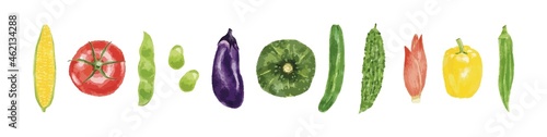 水彩風イラストの夏野菜たち