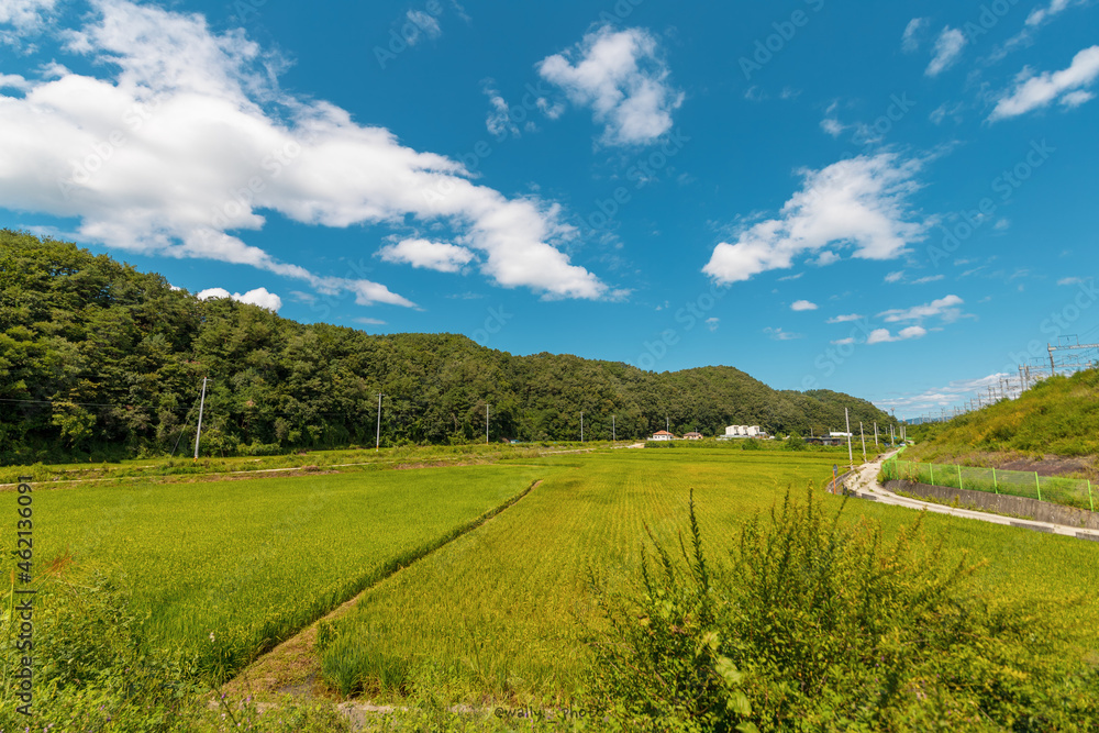 Fototapeta premium 한국 풍경