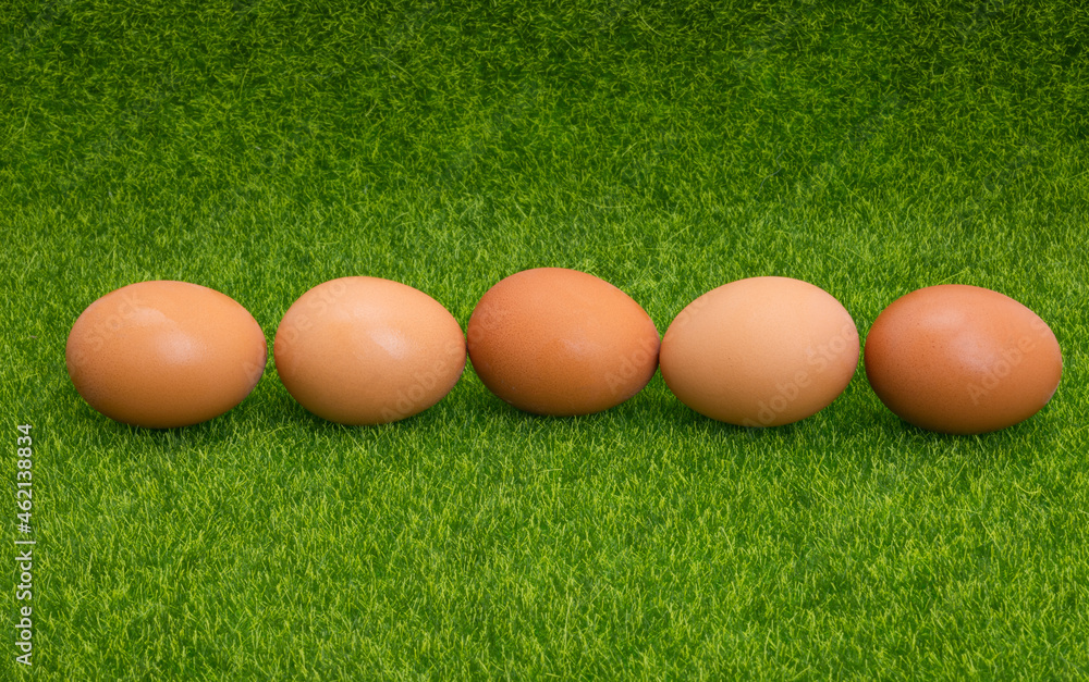 chicken eggs on green grass chicken eggs on green grass