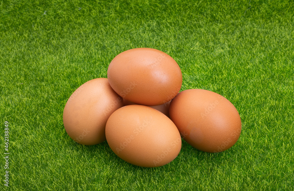 chicken eggs on green grass chicken eggs on green grass