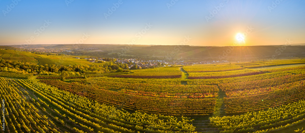 Luftaufnahme Drohnenpanorama Weinberge Rheinhessens bei Großwinternheim mit Sonneruntergang im Herbst, Kaiserpfalz, nahe Ingelheim und Bingen, Rheinland Pfalz