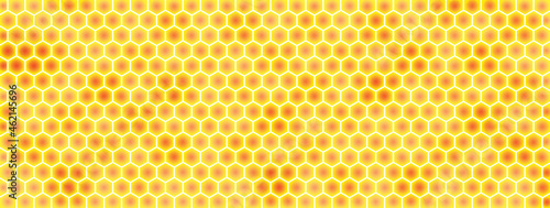Realistic background texture and pattern of natural honeycomb, vector illustration