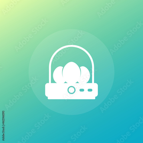 incubator with eggs icon, vector