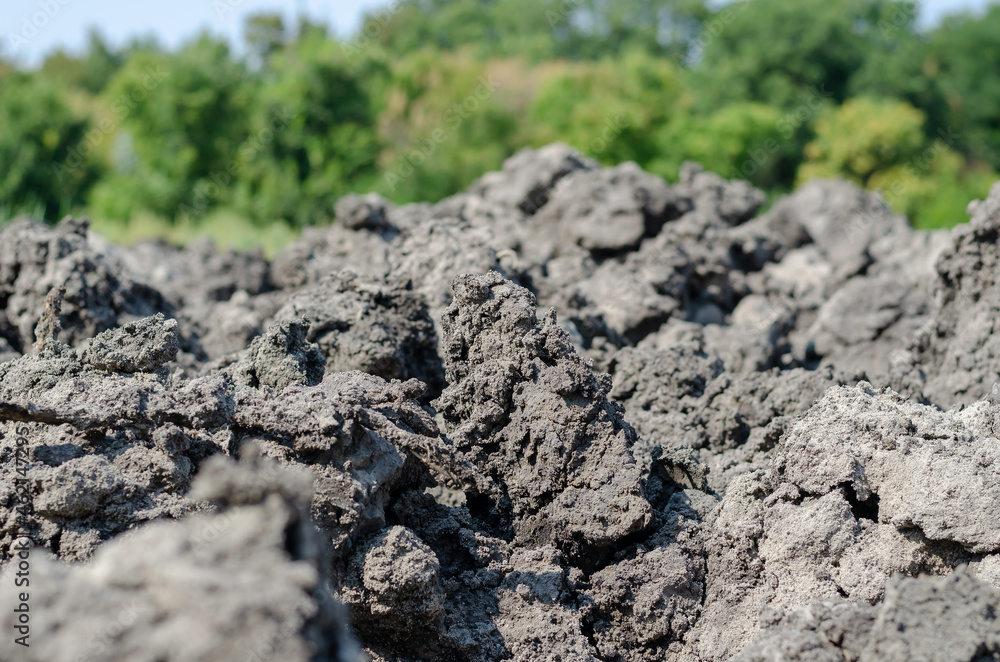 Dried up chunks of mud and silt against a green blurred backgrou Dried up chunks of mud and silt against a green blurred backgrou