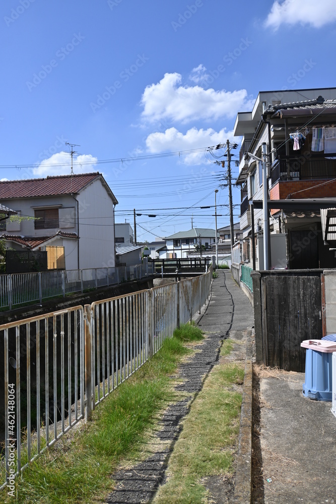 川沿いの小道 川沿いの小道