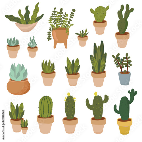 House plants hand drawn clipart set. Indoor plants in pots - peace lily, succulent, aloe vera, cacti, ficus and calathea.