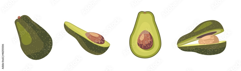 Avocado Fresh Fruit or Vegetable Whole and Half with Pit Isolated on White Background. Vegetarian Food Design Elements Avocado Fresh Fruit or Vegetable Whole and Half with Pit Isolated on White Background. Vegetarian Food Design Elements