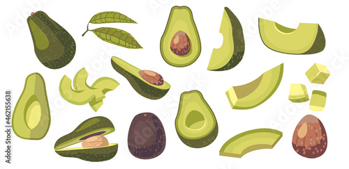 Set of Avocado Vegetarian Food Ingredient Design Elements. Fresh Fruit or Vegetable Whole, Diced or Sliced Pieces