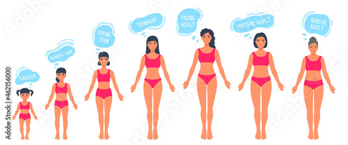 The human body aging process. A female person aging, getting old. Woman anatomy. Growth of people's bodies. A vector cartoon illustration.