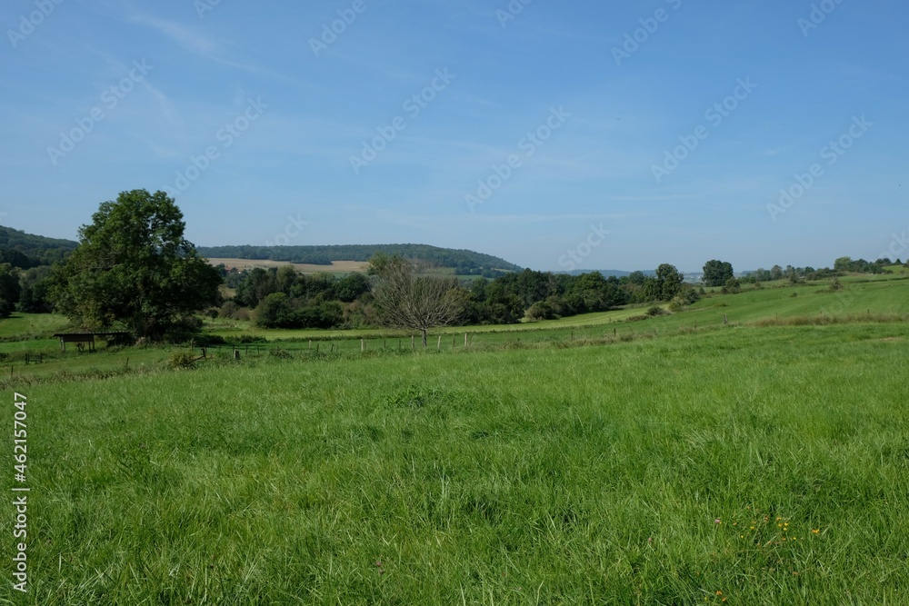 vue de la campagne gaumaise estivale dans le sud de la Belgique
