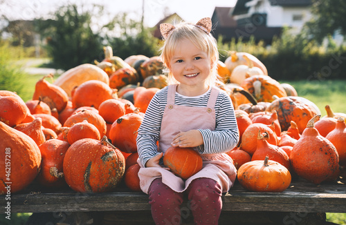 Autumn harvest of pumpkins. Child picking orange pumpkin at farm market or seasonal festival. Cute little girl playing among pumpkins. Thanksgiving holiday and Halloween. photo