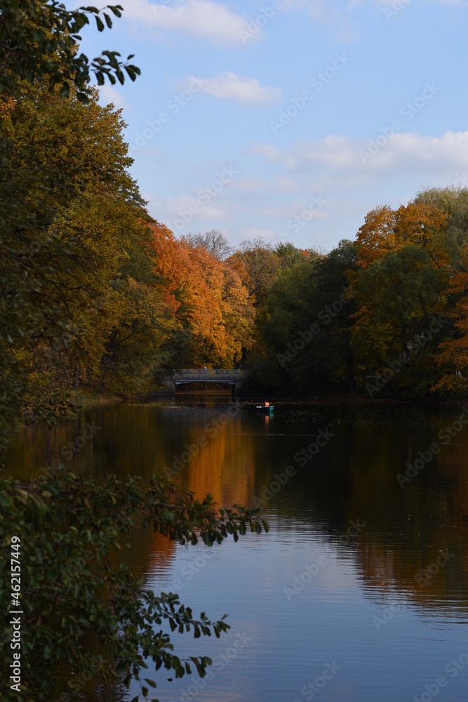 Fototapeta premium autumn in the park