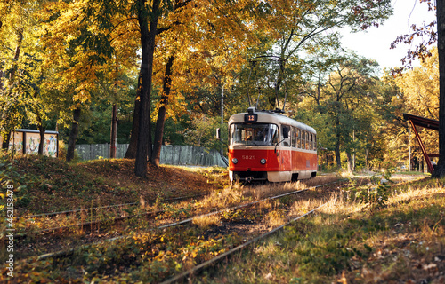 Red retro tram goes along the route through the autumn forest. Beautiful autumn landscape with tram.