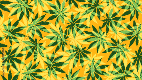 Marijuana leafs or cannabis leafs weed pattern