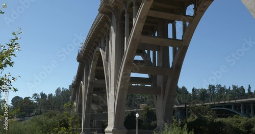 Beautiful wildflowers growing at the base of the Colorado Street Bridge in Pasadena California photo