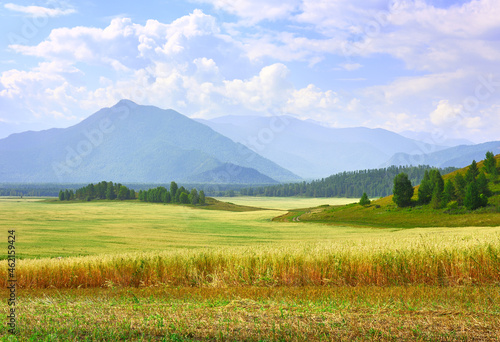 Uymon Valley in the Altai Mountains