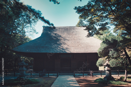 自然の中にある寺
