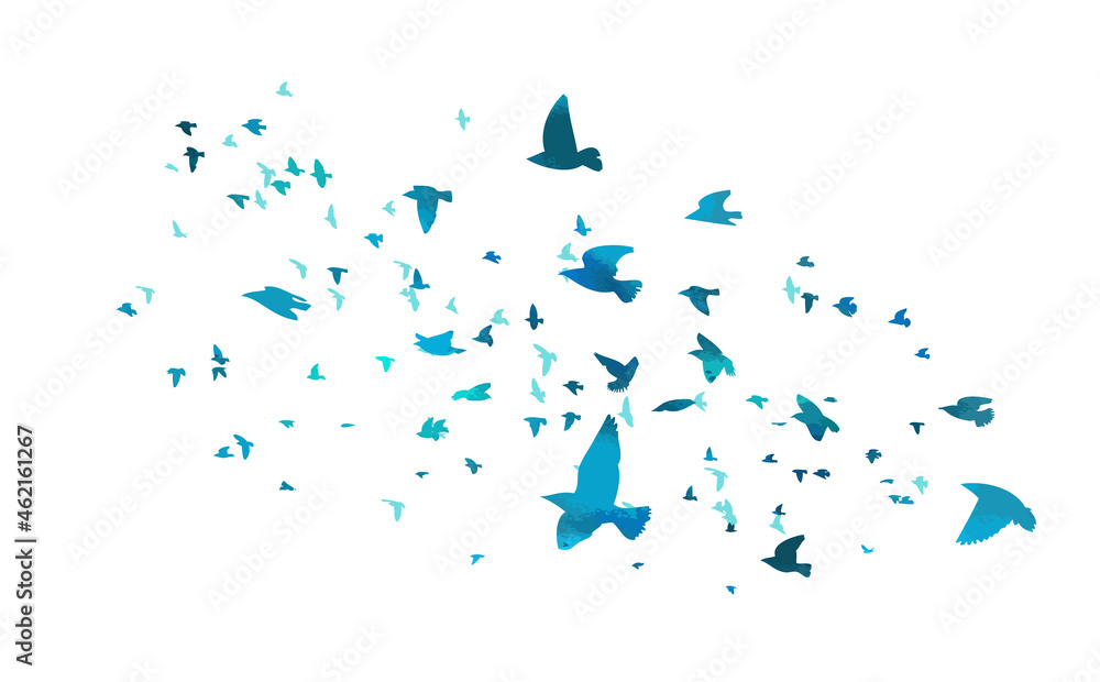 Obraz premium A flock of flying blue birds. Free birds. Vector illustration