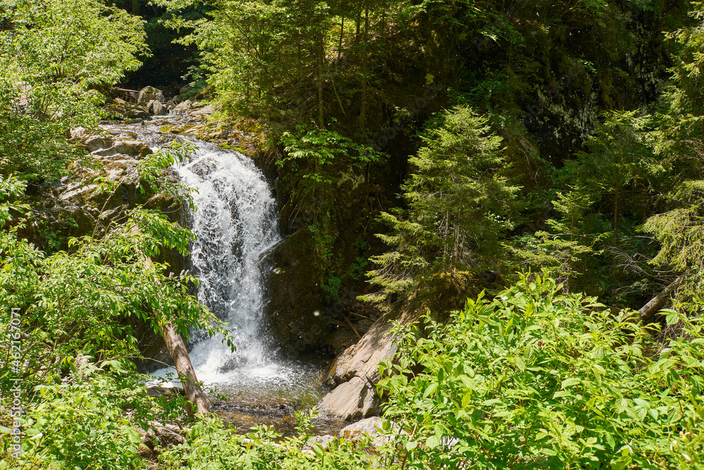 Obraz premium Little waterfall on a river in Retezat mountain in Campu lui Neag Romania