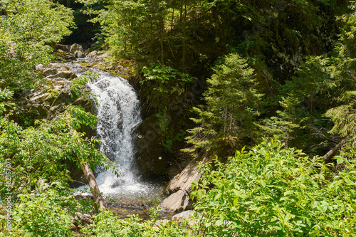 Little waterfall on a river in Retezat mountain in Campu lui Neag Romania
