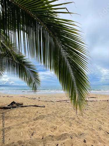 Strand in Costa Rica mit Palmenblättern