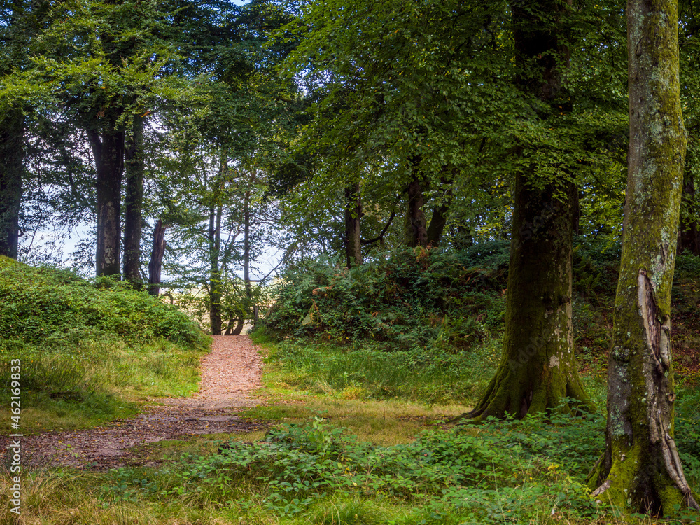 Fototapeta premium Woodbury Castle Devon