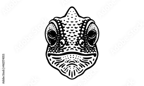 chameleon logo on white background