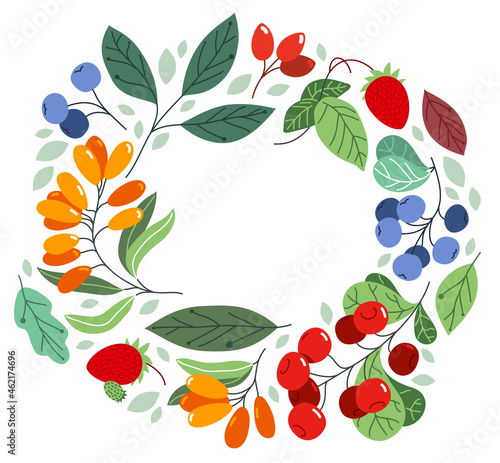 Wild berries fresh and ripe tasty healthy food vector flat style round wreath frame isolated over white, circle shape border delicious vegetation diet eating, nature gifts.