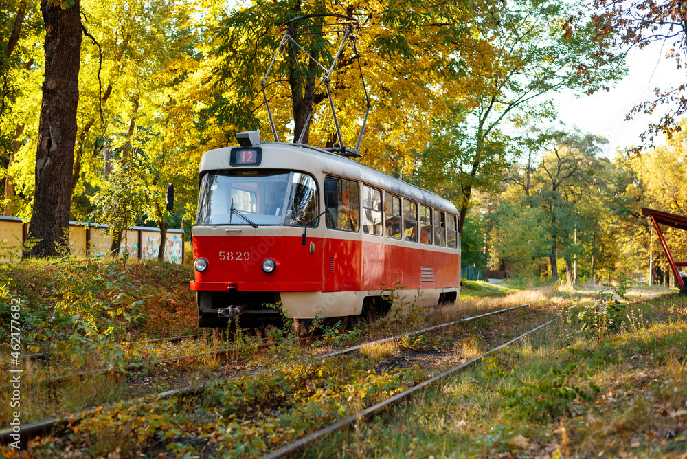 Red retro tram goes along the route through the autumn forest. Atumn landscape with tram.