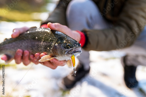 Fototapeta Naklejka Na Ścianę i Meble -  Catch of a rainbow trout by a fly fisherman in the river.