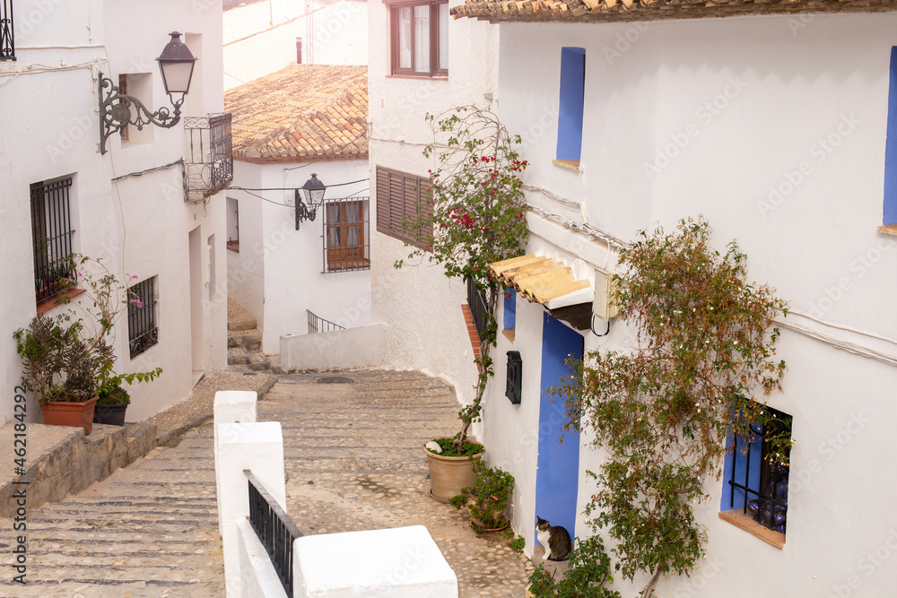 Fototapeta premium Beautiful narrow street in the old town of Altea with white houses and blue decor and a paved road with flower pots, Spain