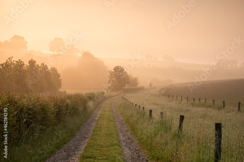Limburg farmland in foggy spring sunrise