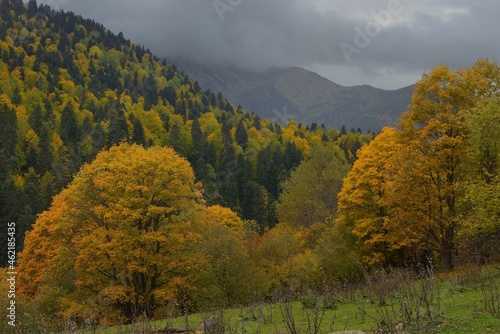 Fototapeta Naklejka Na Ścianę i Meble -  Autumn in Caucasus
