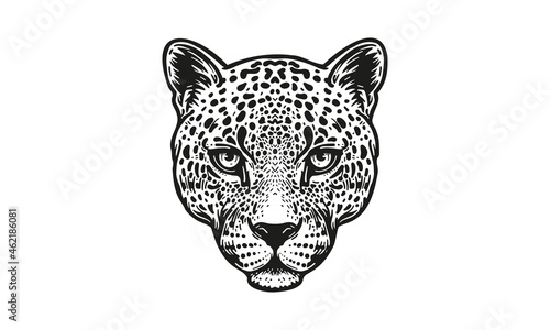 Photo leopard logo on white background