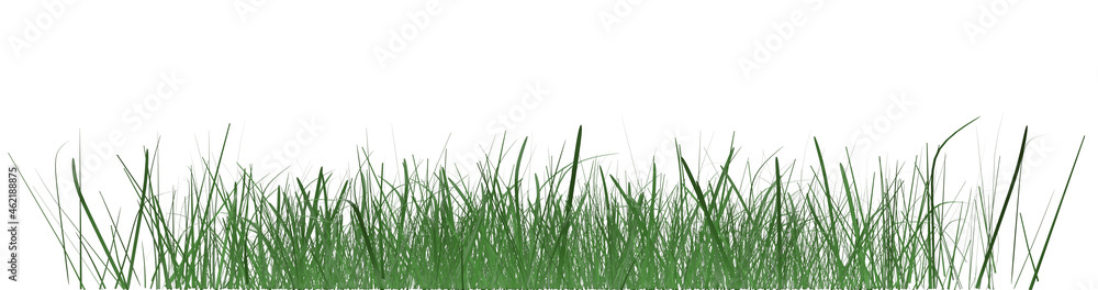 Green grass growth isolated on white background.