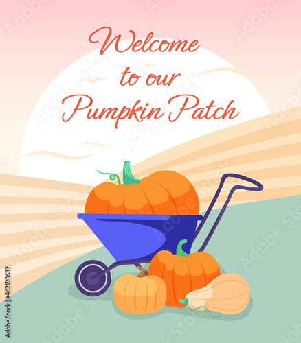 Pumpkin patch. Wheelbarrow with cute orange pumpkins on a farm field background. Organic autumn harvest.Thanksgiving. Colorful vector illustration. Cartoon style.