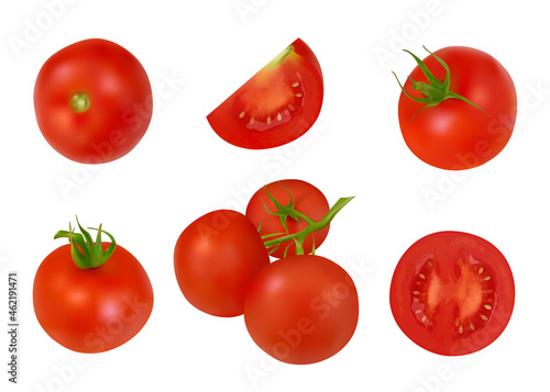 Tomatoes set. Organic closeup healthy plants red vegetables decent vector realistic food set isolated
