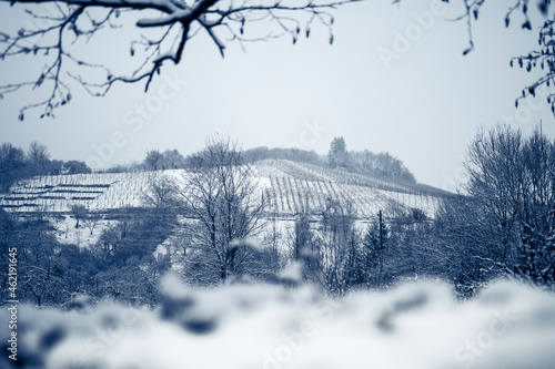 Schneebedeckter Weinberg im Winter