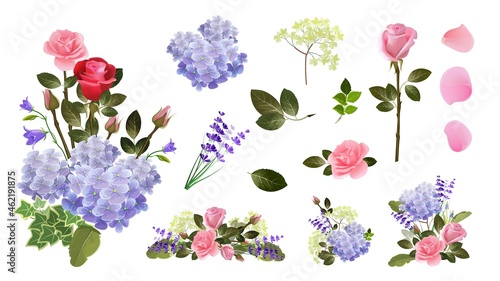 Isolated flower collection. Roses, hydrangea flowers. Fashion floral elements, bouquets with leaves. Natural garden vector set