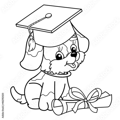 Coloring Page Outline Of cartoon dog in graduate cap. Cute puppy with diploma. Little student. Coloring book for kids