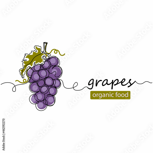 Continuous one line drawing of fresh grapes organic food in silhouette on a white background. Linear stylized.