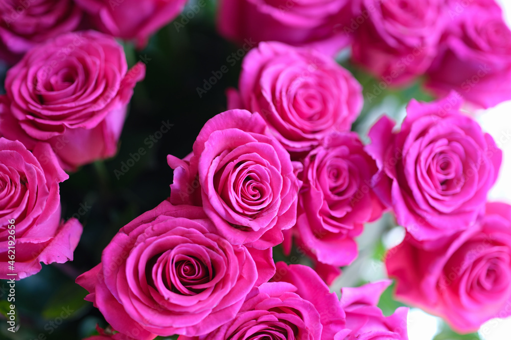 Closeup of large chic bouquet of roses background