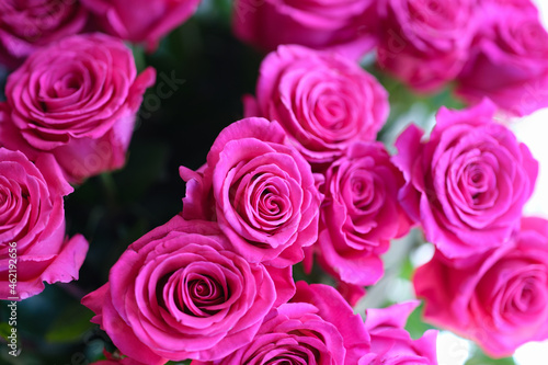 Closeup of large chic bouquet of roses background