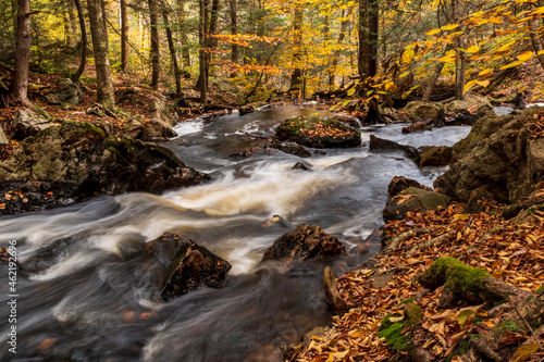 flowing silky cascading waters with colorful autumn foliage background on the woods in Ricketts Glen Pennsylvania