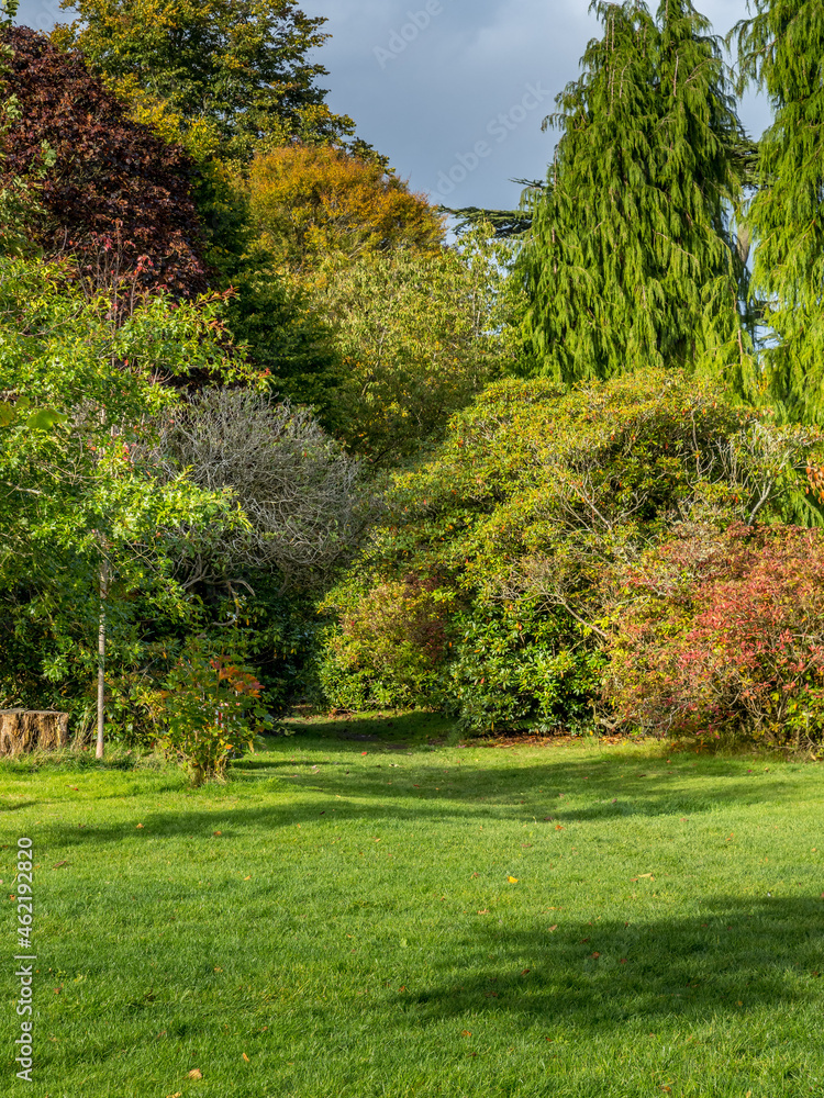 trees in the park in early autumn trees in the park in early autumn