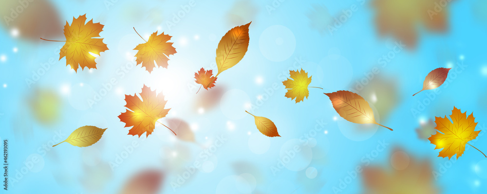 flying autumn leaves