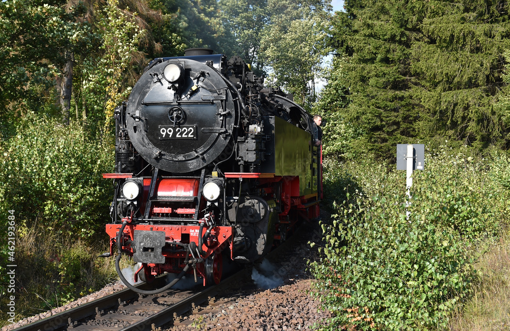 Harzer Schmalspurbahn  - obrazy, fototapety, plakaty 