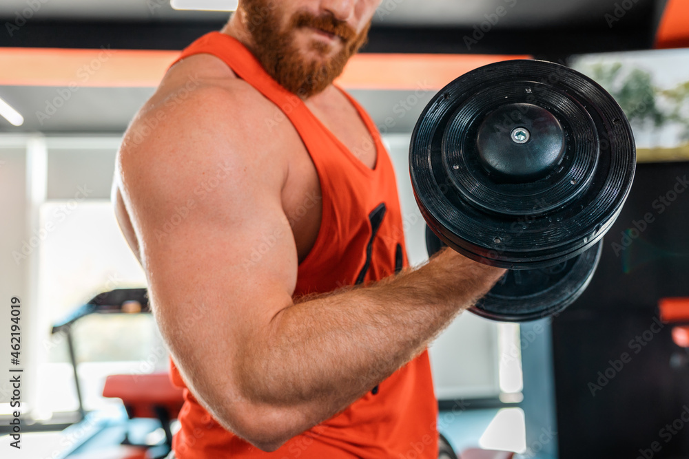 Caucasian bearded athletic man with an effort trains with dumbbells in the gym. Close-up of the biceps. Fitness concept Caucasian bearded athletic man with an effort trains with dumbbells in the gym. Close-up of the biceps. Fitness concept