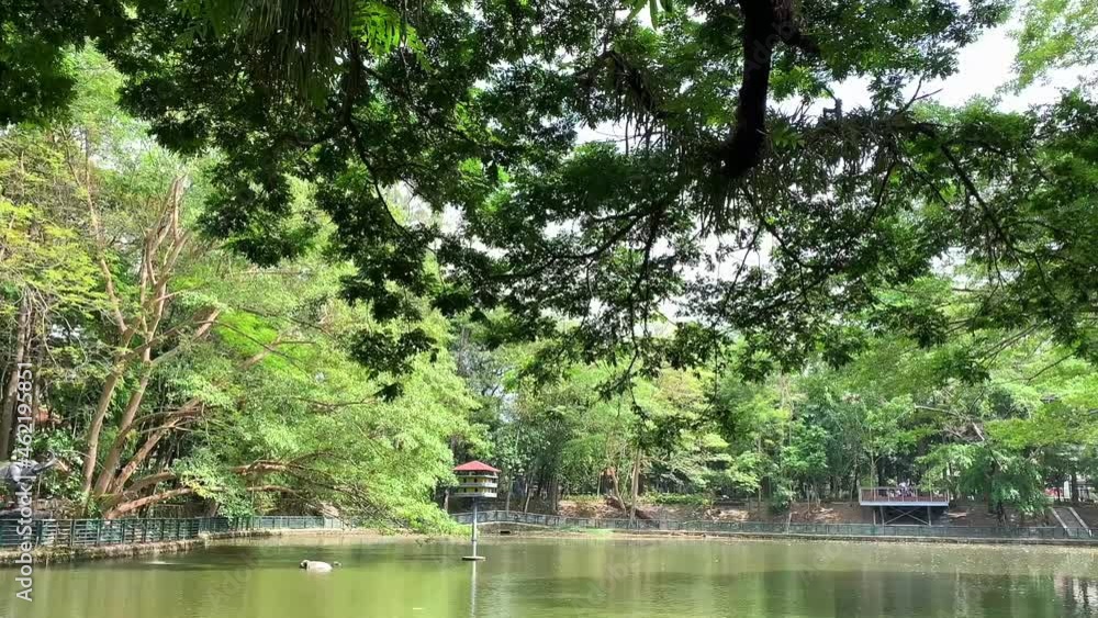 Still shot of a lake in the middle of a local park with no people 2 Still shot of a lake in the middle of a local park with no people 2